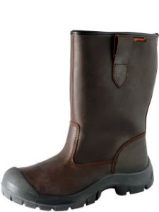 Image de Laars gevavi gevoerd bruin