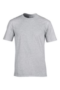 Image de Waning Shirt Gildan sport grijs