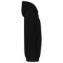 Bild von Rietveld Sweatvest met Capuchon